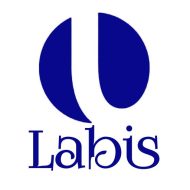 Labis Techno